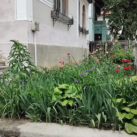 Дом отдыха Casa Istorica